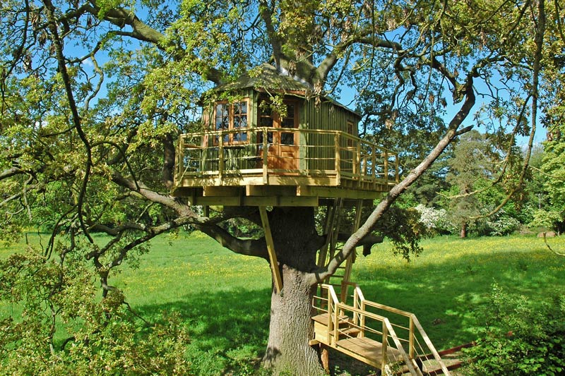 Bespoke adult treehouse in Ireland