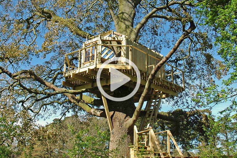 Bespoke adult treehouse hideaway designed and built in Ireland.