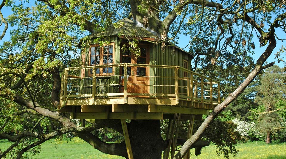 Custom built adult treehouse in mature Irish Oak