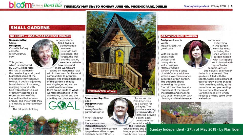 Forest Wild Treehouses in the Sunday Independent